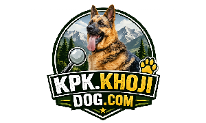 kpk khoji dog